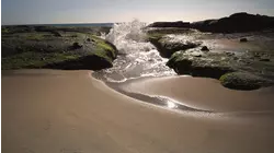 Laguna Beach, California featuring Marc Antoine