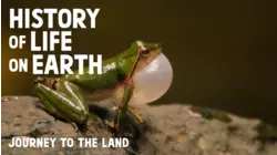 Journey to Land
