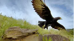 THE DRAKENSBERG: BARRIER OF SPEARS
