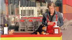 Hot for Dogs