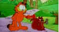 Garfield and Friends