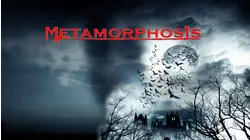 Metamorphosis