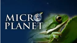 MicroPlanet