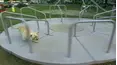 Funniest Pets & People