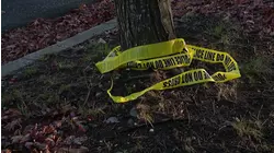 Yaphank woman gets up to 12 years in prison for DWI crash that killed senior