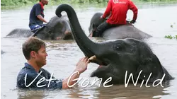 Into the Elephant Kingdom