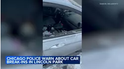 At least 2 more vehicles burglarized near Lincoln Park Zoo: CPD