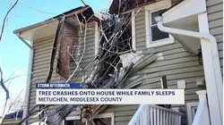 60-foot tree rips through roof of home while family of four sleeps inside