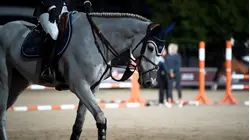 All eyes on Wellington for $1M Rolex U.S. equestrian open grand prix