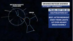 Look up! Orionid meteor shower peaks this week