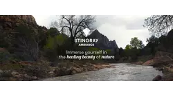 Virgin River Zion