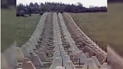 Race To Berlin