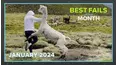 Best Fails of the Month