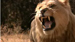 Killers on the Savannah