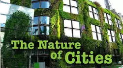 The Nature of Cities