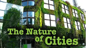 The Nature of Cities