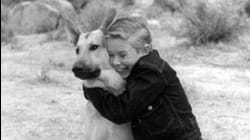 Adventures of Champion: Ep 2 - Crossroad Trail (1955)