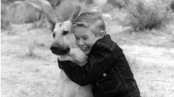 Adventures of Champion: Ep 2 - Crossroad Trail (1955)
