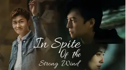 In Spite of the Strong Wind