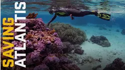 Saving Atlantis