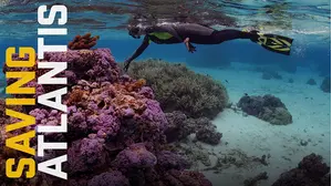 Saving Atlantis