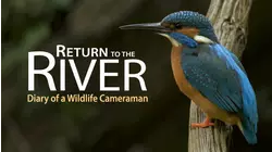 Return to the River: Diary of a Wildlife Cameraman