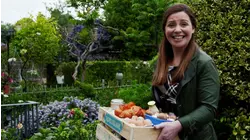 Dublin to San Sebastian