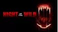 Night of the Wild