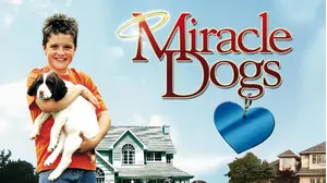 Miracle Dogs