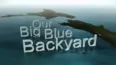 Our Big Blue Backyard