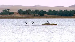 Egypt - Water And Sand