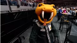 PBR Teams 2024 Ft. Worth Day 3