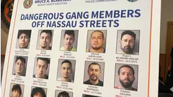Gang crackdown in Nassau nets 42 arrests