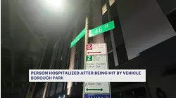 Pedestrian struck in Borough Park