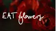 Eat Flowers