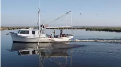Reel Animals S14:E4 "Slicked Out"