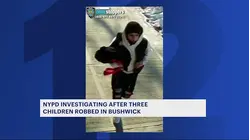 'I'm going to shoot you.' 11-year-old boy youngest of 3 targeted in Bushwick robbery spree