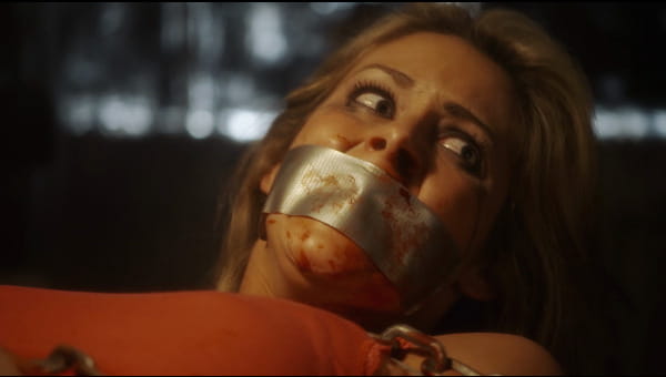 Toolbox Murders 2 on FREECABLE TV