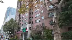 Bodies of mother and son found in Downtown Brooklyn apartment