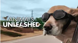 Animals Unleashed
