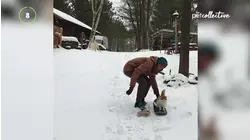 Best Winter Athletes