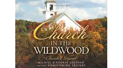 Church In The Wildwood
