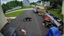 Husky saves boy from bear