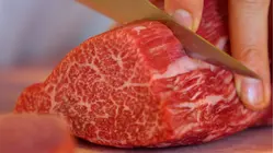 Why Olive Wagyu Is So Expensive