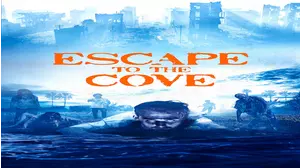 Escape to the Cove