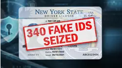 New York State DMV sounds alarm over fake ID information theft crisis