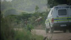 Sweet Justice: Sugar Cane Serial Killer Part 2
