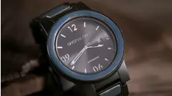 Wood Watches and Raw Pet Food