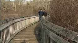 Connecticut author looks back at 5 years of Road Trip Close to Home