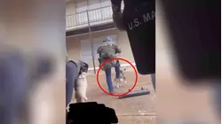 Graban a un agente federal pateando con violencia a un perro durante un operativo en Tennessee